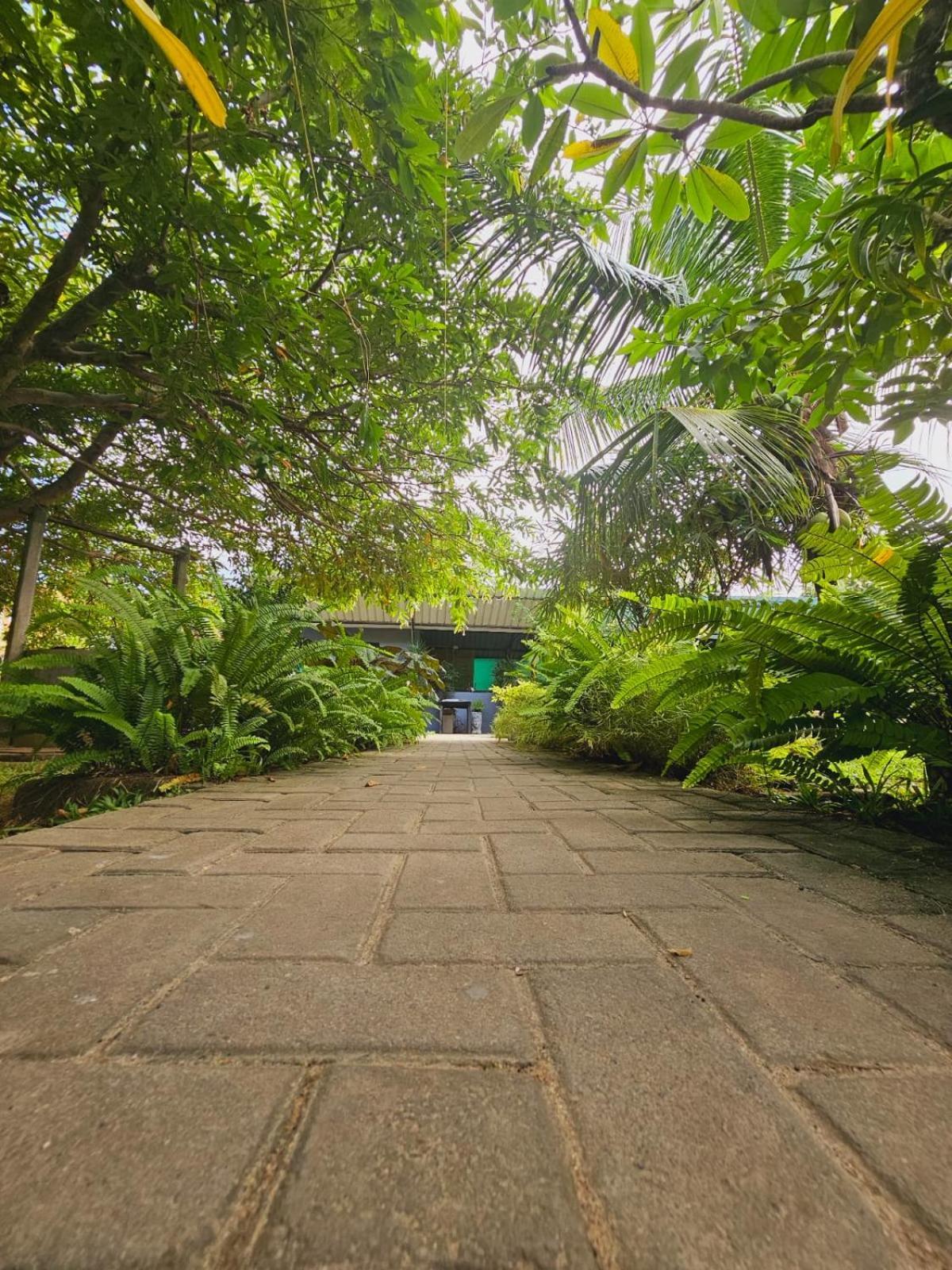 ネゴンボ Optimum Residencies Bed & Breakfast エクステリア 写真
